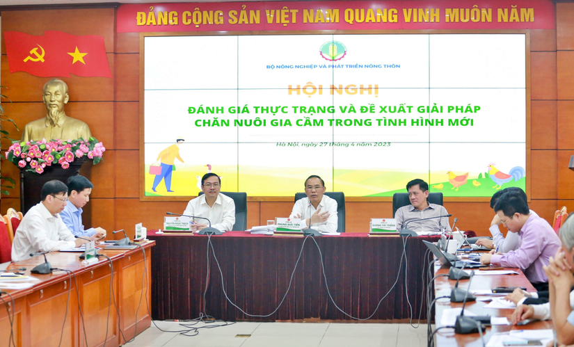 Hội nghị đ&aacute;nh gi&aacute; thực trạng v&agrave; đề xuất giải ph&aacute;p chăn nu&ocirc;i gia cầm trong t&igrave;nh h&igrave;nh mới, ng&agrave;y 27/4. Ảnh: Phương Thảo.