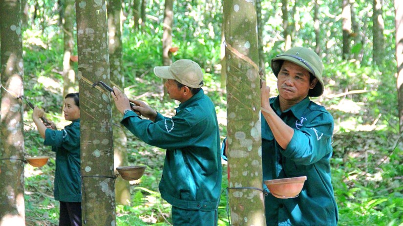 Doanh thu PHR tăng trưởng nhờ mảng khu c&ocirc;ng nghiệp