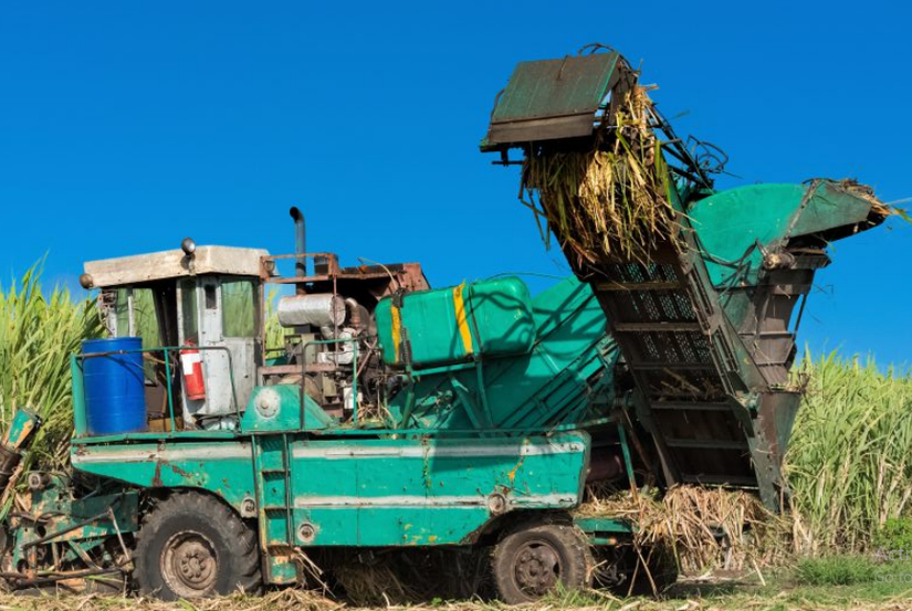 Thị trường đường dự kiến vẫn sẽ t&iacute;ch cực khi gi&aacute; dầu th&ocirc; leo cao do t&aacute;c động của cuộc xung đột giữa Nga v&agrave; Ukraine.