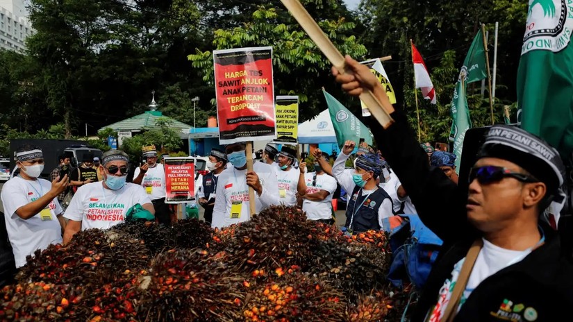 N&ocirc;ng d&acirc;n Indonesia biểu t&igrave;nh phản đối lệnh cấm xuất khẩu dầu cọ. Ảnh: Reuters