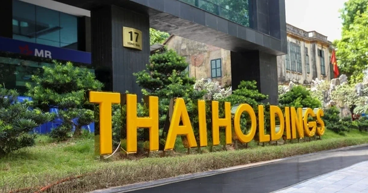 Những cổ phiếu &apos;rơi như thiên thạch&apos;, THD của Thaiholdings lao nhanh nhất