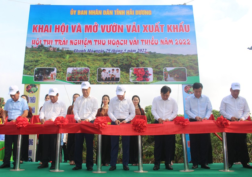 L&atilde;nh đạo c&aacute;c bộ v&agrave; tỉnh đ&atilde; cắt băng mở vườn h&aacute;i vải, xuất khẩu tại th&ocirc;n Thanh Lanh. Ảnh: Mai Chiến