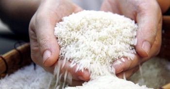 Những điểm mới trong chiến lược xuất khẩu gạo