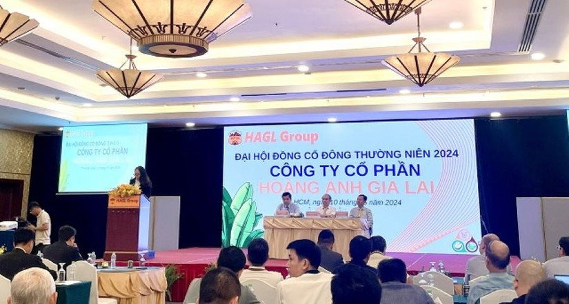 HAGL tổ chức ĐHĐCĐ thường ni&ecirc;n năm 2024 v&agrave;o s&aacute;ng 10/5.