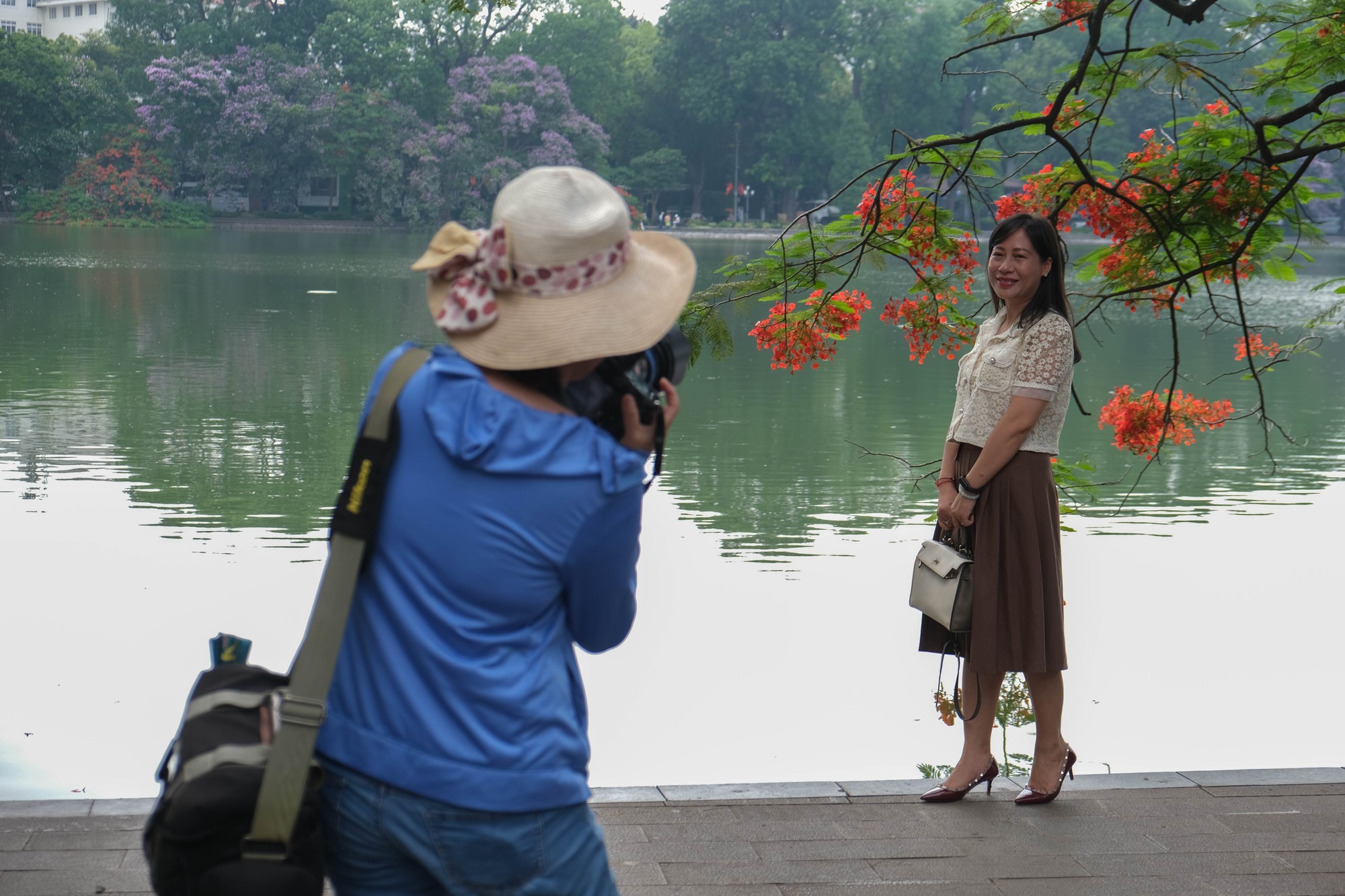 &amp;amp;amp;quot;Tết c&oacute; hoa anh đ&agrave;o, xu&acirc;n sang th&igrave; hoa ban, rồi h&egrave; đến l&agrave; hoa phượng, bằng lăng. Những lo&agrave;i hoa li&ecirc;n tục khoe sắc, thời tiết thuận lợi khiến c&ocirc;ng việc chụp ảnh của t&ocirc;i c&oacute; thu nhập đều đặn trong thời gian qua. Chỉ 10.000 đồng/tấm ảnh n&ecirc;n du kh&aacute;ch đi dạo rất th&iacute;ch th&uacute; check-in với những c&agrave;nh phượng rủ&amp;amp;amp;quot;, c&ocirc; Mai, một thợ ảnh tr&ecirc;n phố đi bộ Hồ Gươm chia sẻ với Mekong ASEAN. Ảnh: L&ecirc; An/Mekong ASEAN.