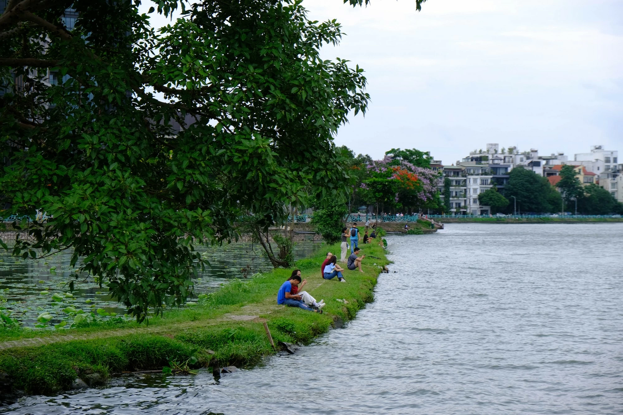 Tr&ecirc;n bờ hồ, c&aacute;c bạn trẻ tập trung ở đoạn bờ k&egrave; ngăn nước v&agrave;o hồ trồng hoa sen để h&oacute;ng m&aacute;t, ngắm cảnh. Ảnh: L&ecirc; An/Mekong ASEAN.