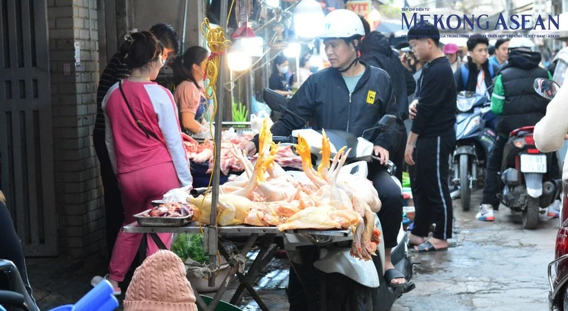 Ảnh minh họa: L&ecirc; Hồng Nhung/Mekong ASEAN