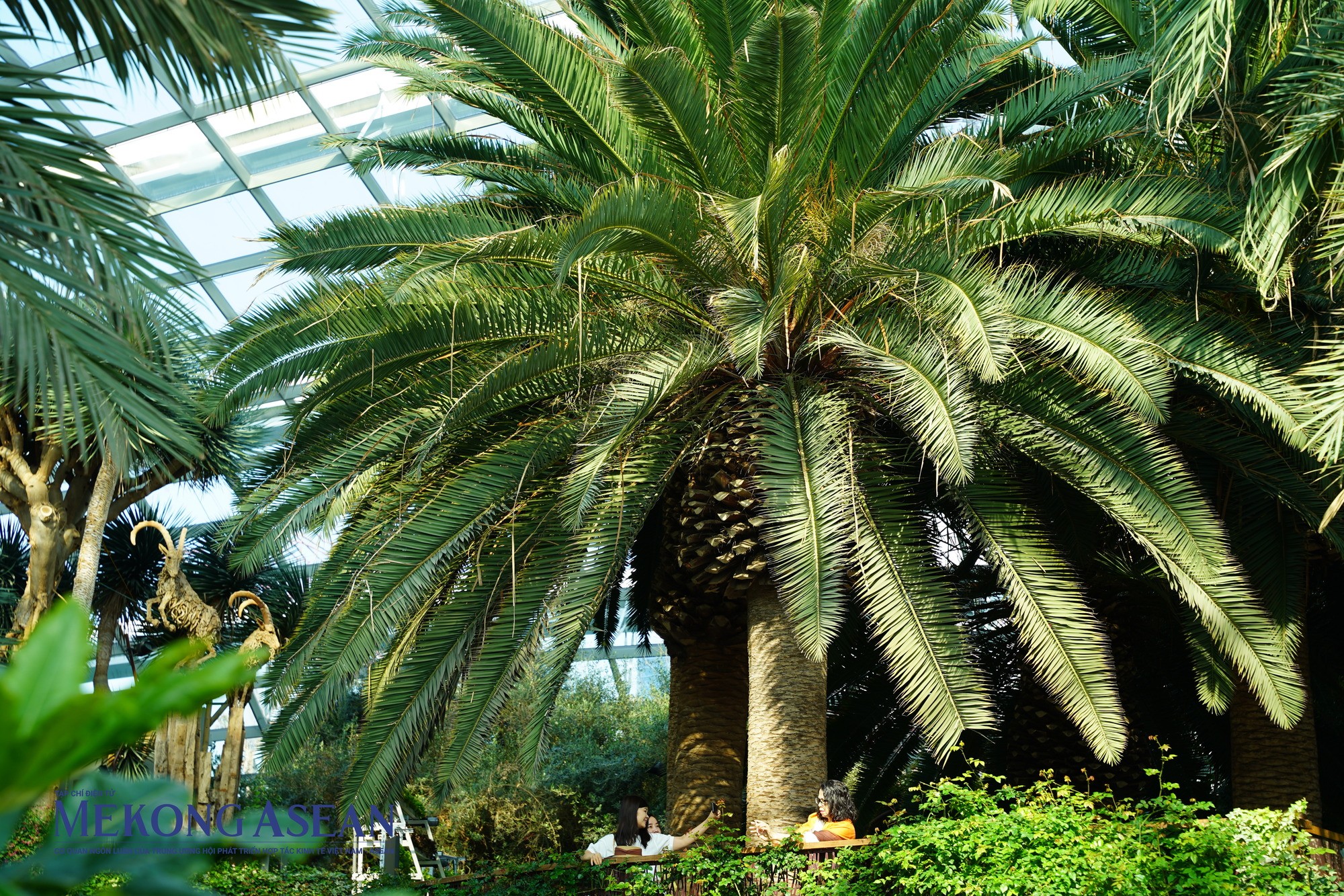 Thực vật nhiệt đới tại Garden by the Bay. Ảnh: Thảo Ng&acirc;n - Mekong ASEAN.