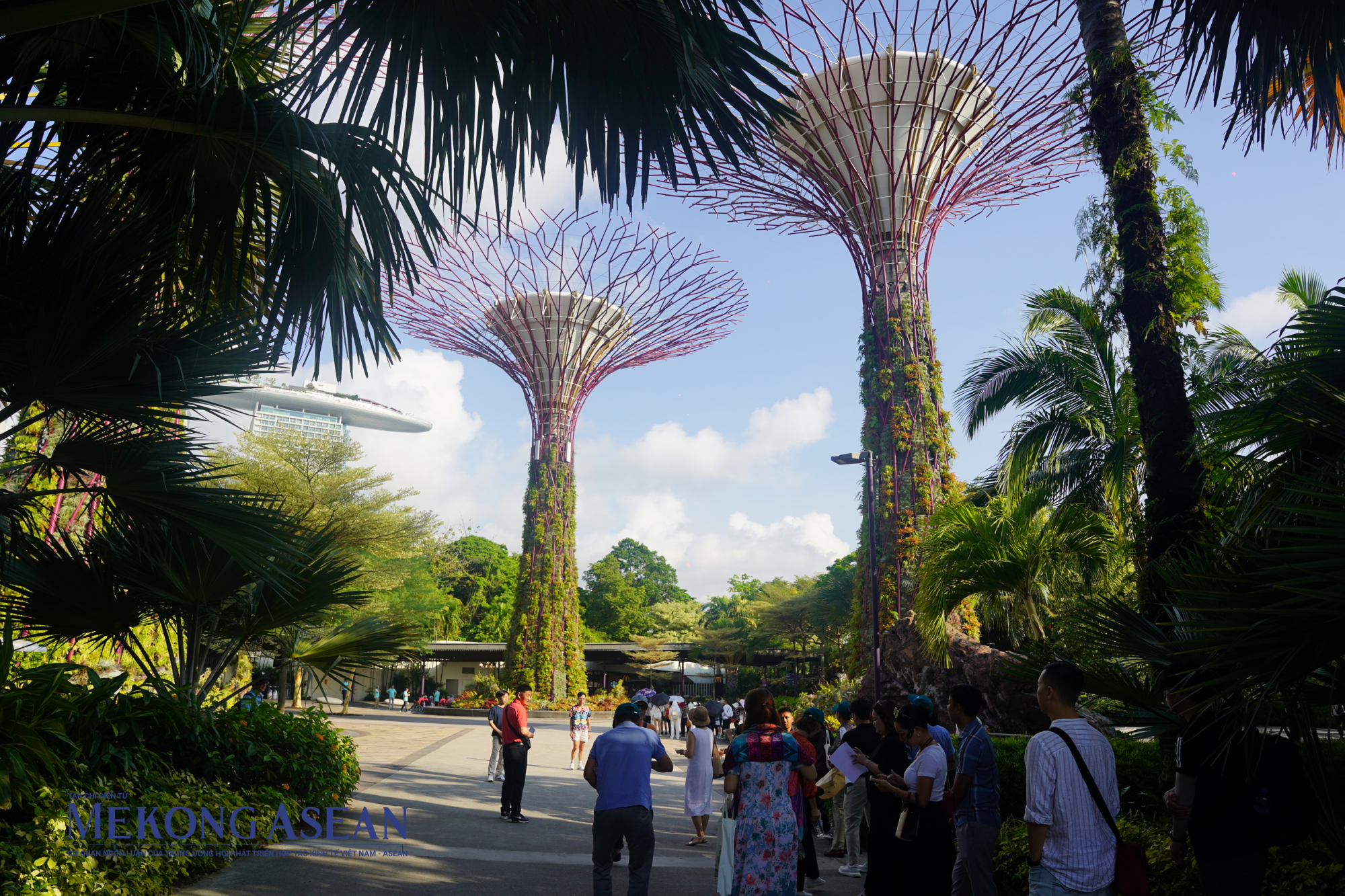 C&aacute;c si&ecirc;u c&acirc;y năng lượng tại Gardens by the Bay. Ảnh: Thảo Ng&acirc;n - Mekong ASEAN.