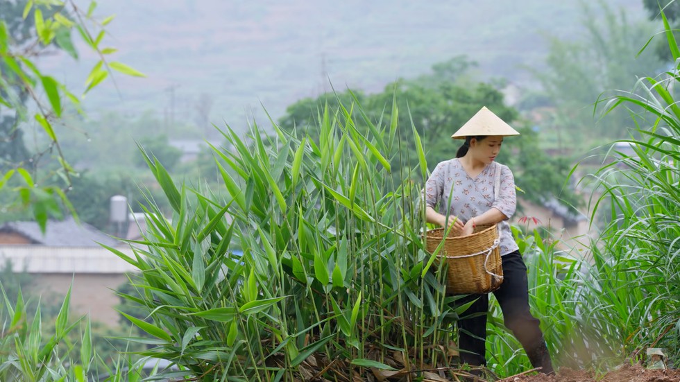 B&aacute;nh zongzi thường được g&oacute;i trong l&aacute; sậy v&agrave; c&oacute; nh&acirc;n đa dạng từ nh&acirc;n ngọt tới nh&acirc;n mặn. Ảnh: Dianxi Xiaoge