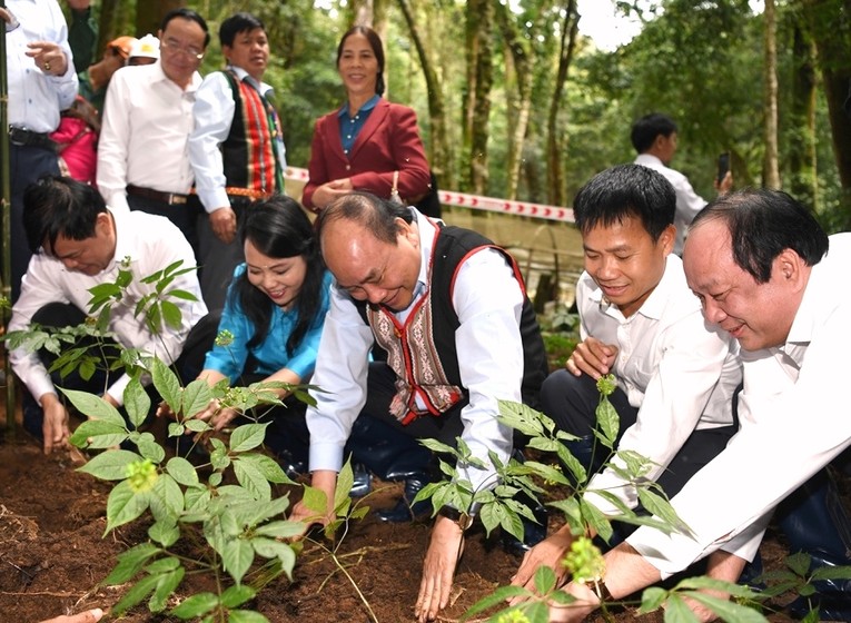 Chủ tịch nước Nguyễn Xu&acirc;n Ph&uacute;c y&ecirc;u cầu phải ki&ecirc;n quyết xử l&yacute; nghi&ecirc;m t&igrave;nh trạng bu&ocirc;n b&aacute;n s&acirc;m Ngọc Linh giả trong lần thăm vườn s&acirc;m Kon Tum 2018. Ảnh: UBND Kon Tum