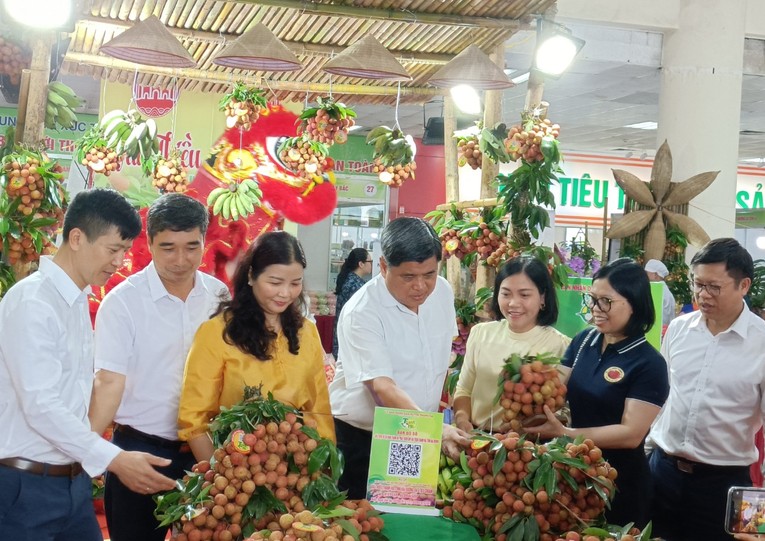 Thứ trưởng N&ocirc;ng nghiệp v&agrave; Ph&aacute;t triển N&ocirc;ng th&ocirc;n Trần Thanh Nam v&agrave; c&aacute;c đại biểu thăm gian h&agrave;ng vải Thanh H&agrave; (Hải Dương). Ảnh: Anh Thư