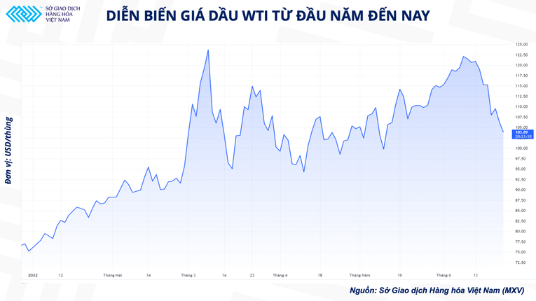 Cơ hội nào cho cổ phiếu dầu khí 'tạo sóng' nửa cuối năm 2022