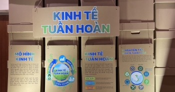 Bangkok Bank hỗ trợ tài chính xanh cho Việt Nam trên 4 trụ cột