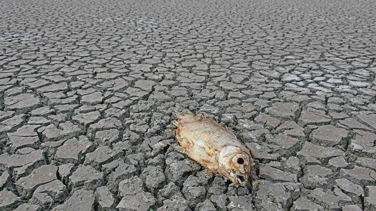 T&aacute;c động của El Nino l&ecirc;n biến đổi kh&iacute; hậu l&agrave; chưa r&otilde; r&agrave;ng. Ảnh: ABC News