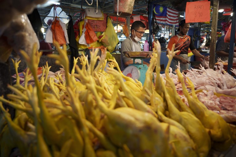 Malaysia dỡ bỏ lệnh cấm xuất khẩu g&agrave; từ ng&agrave;y 1/7  ảnh 1