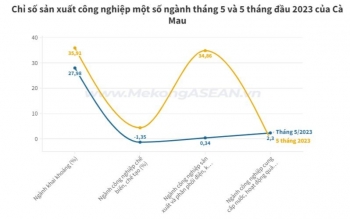 Bức tranh kinh tế tháng 5 của Cà Mau có gì nổi bật?