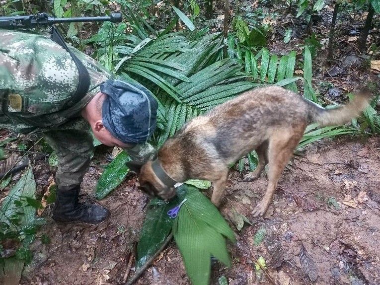 T&igrave;m thấy 4 trẻ em Colombia sống s&oacute;t thần kỳ sau hơn một th&aacute;ng rơi m&aacute;y bay ảnh 3