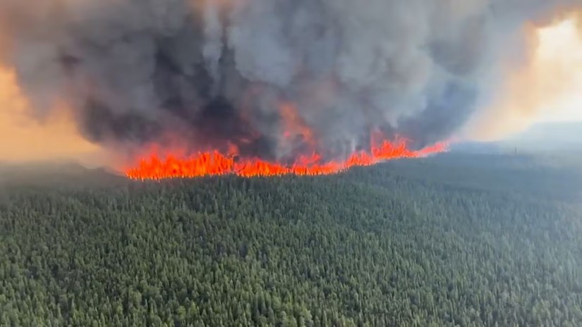 Đ&aacute;m ch&aacute;y rừng tại Tumbler Ridge, British Columbia, Canada. Ảnh: Reuters