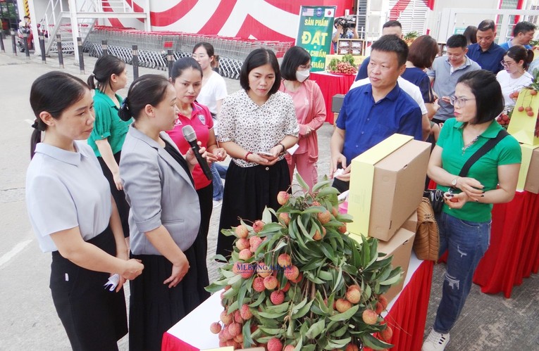 C&aacute;c đại biểu, người ti&ecirc;u d&ugrave;ng v&agrave; kh&aacute;ch tham quan kệ h&agrave;ng trưng b&agrave;y, b&aacute;n sản phẩm vải thiều Thanh H&agrave;, Hải Dương.