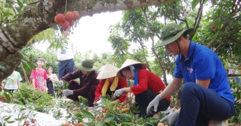 Bắc Giang đẩy mạnh phát triển du lịch ‘Lục Ngạn mùa vải chín’