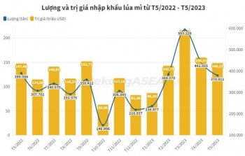 Việt Nam nhập khẩu lúa mì nhiều nhất từ Australia