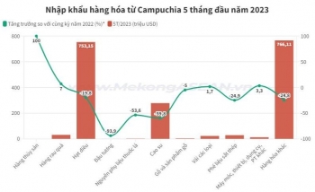 Campuchia giữ ‘ngôi vương’ cung cấp hạt điều cho Việt Nam