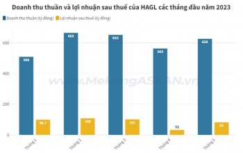 Doanh thu của HAGL tăng trưởng nhờ vào sản phẩm chuối