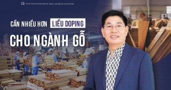 Cần nhiều hơn &apos;liều doping&apos; cho ngành gỗ