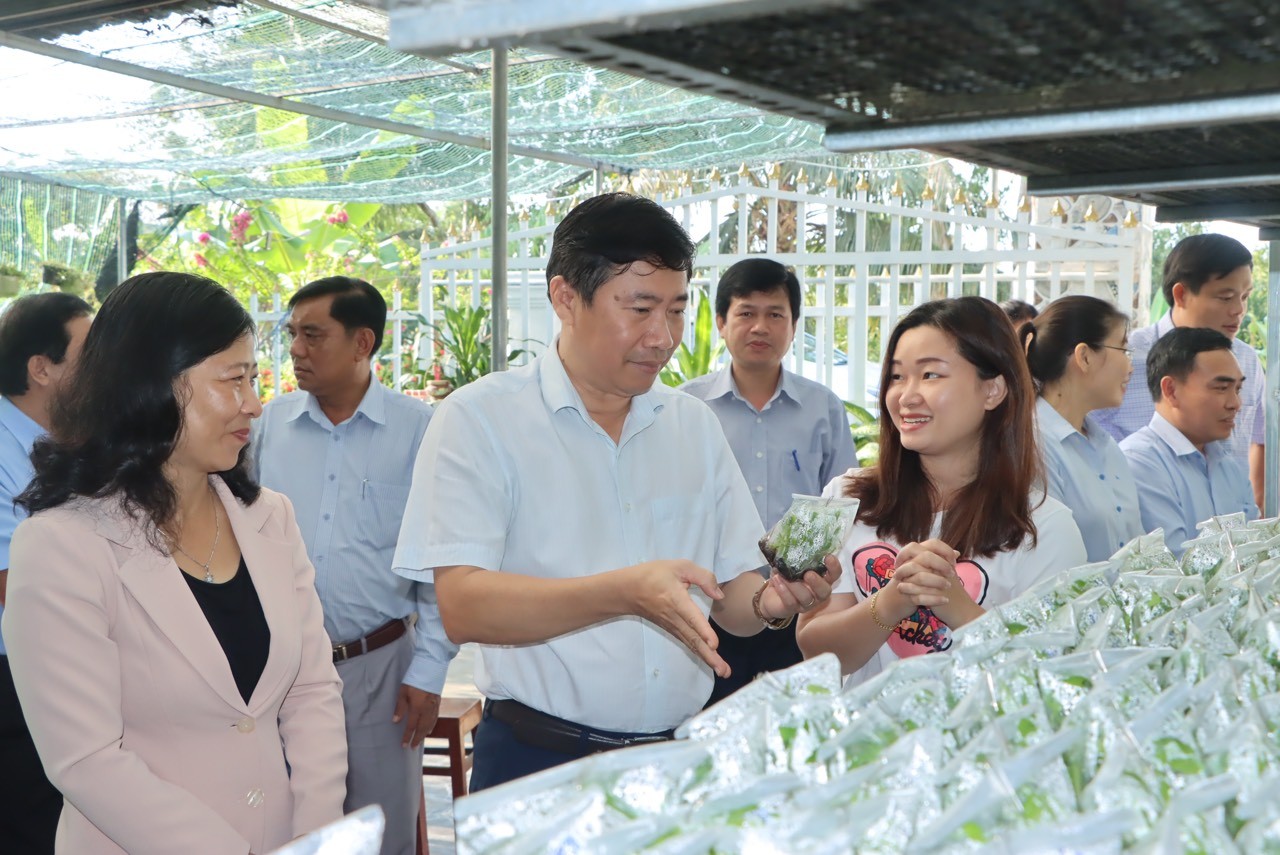 Đồng Tháp: Linh hoạt giải pháp thu hút nguồn lực phát triển kinh tế