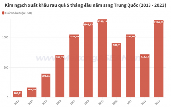 Rau quả xuất khẩu sang Trung Quốc tăng 80% về trị giá