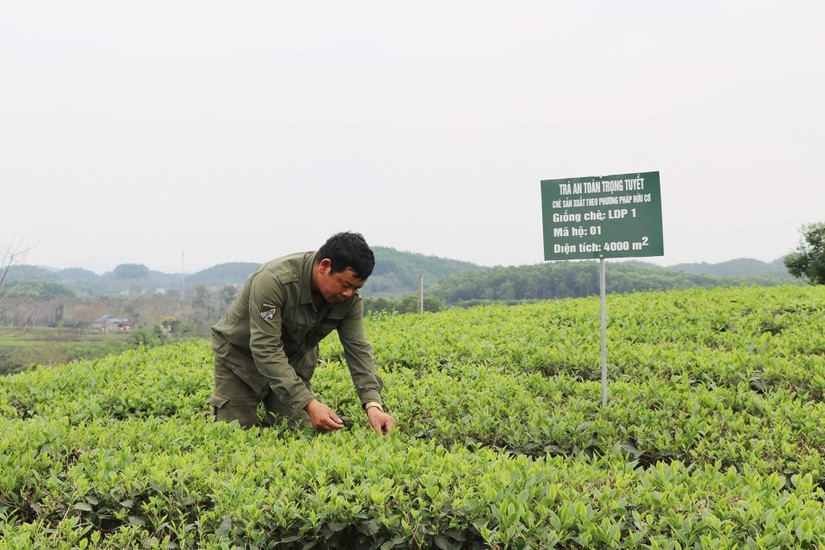 Quỹ Hỗ trợ n&ocirc;ng d&acirc;n gi&uacute;p n&ocirc;ng d&acirc;n đặc biệt l&agrave; n&ocirc;ng d&acirc;n ngh&egrave;o c&oacute; nguồn vốn ph&aacute;t triển sản xuất. Ảnh: Văn ph&ograve;ng N&ocirc;ng th&ocirc;n mới.