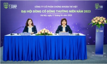 Chứng khoán Trí Việt giải trình ý kiến kiểm toán về khoản đầu tư HPG, FPT