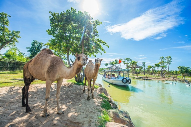 Nghỉ dưỡng diệu kỳ, phiêu hè lãng mạn” tại miền biển di sản