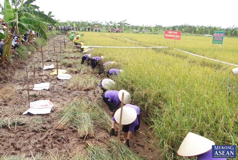 Dự kiến c&oacute; hơn 200 đại biểu kh&aacute;ch mời Trung ương v&agrave; địa phương tham dự sự kiện. Ảnh tư liệu minh họa.