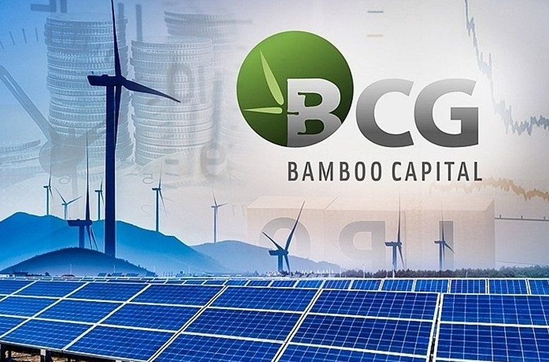 Bamboo Capital góp vốn thành lập công ty trồng rừng