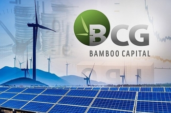 Bamboo Capital góp vốn thành lập công ty trồng rừng