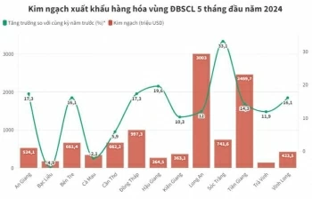 ĐBSCL mang về kim ngạch xuất khẩu bao nhiêu trong 5 tháng?