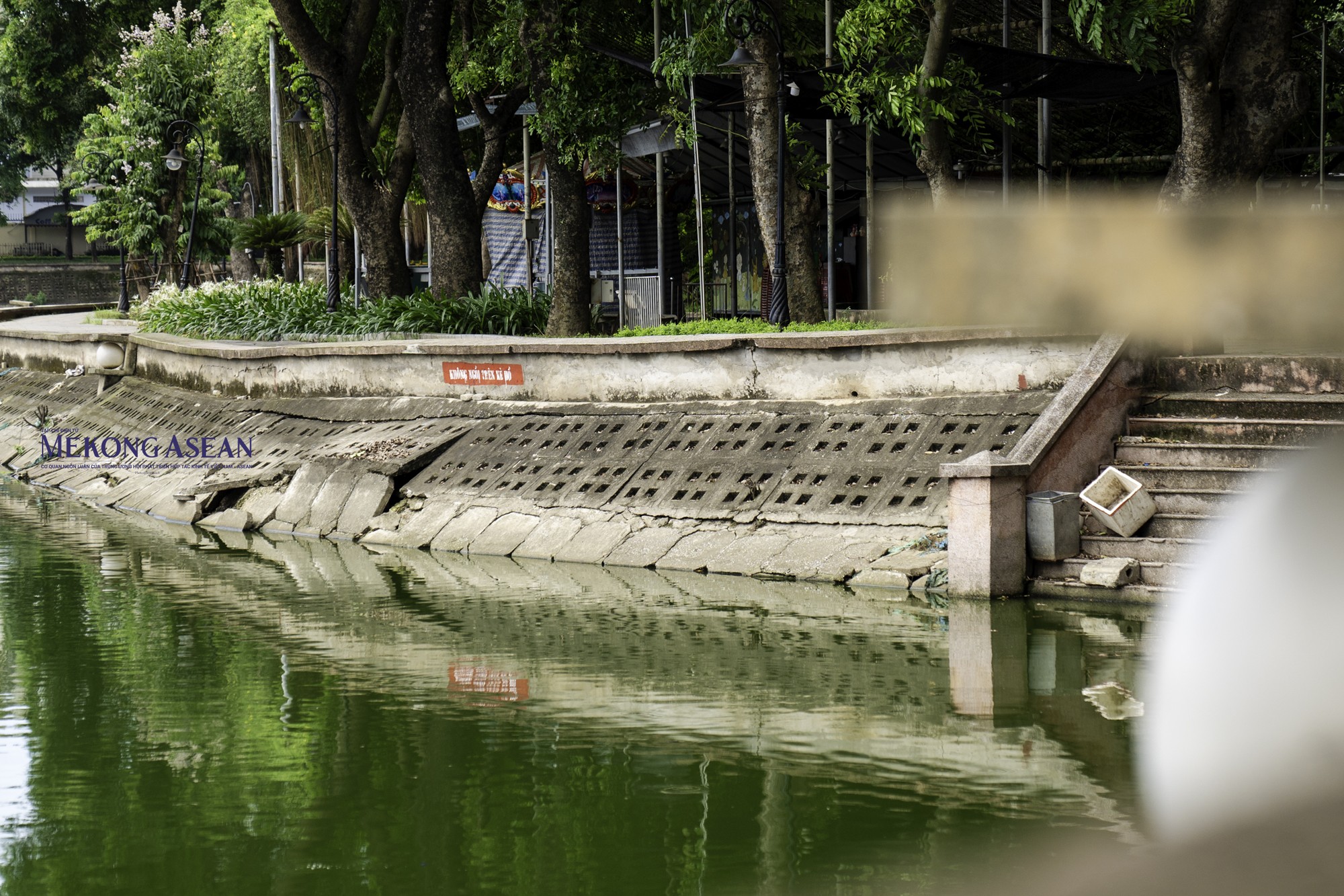 Nước trong hồ chuyển sang m&agrave;u xanh đậm, chủ yếu l&agrave; do tảo lam v&agrave; c&oacute; một phần do r&ecirc;u đ&oacute;ng l&acirc;u ng&agrave;y.