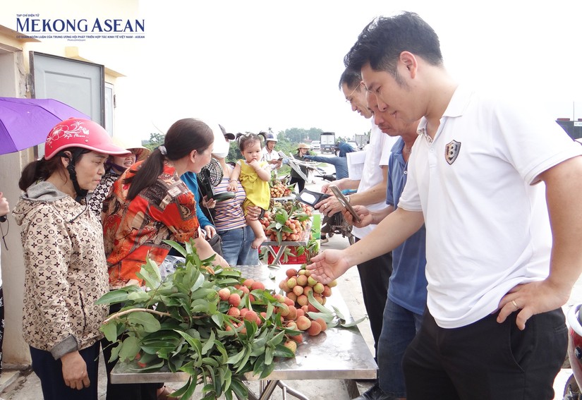 Gi&aacute; vải thiều cuối vụ năm nay tăng vọt. Ảnh: Ph&ugrave;ng Nguyện/Mekong ASEAN.