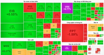 VN-Index tìm lại đà tăng trên đôi cánh VRE - HVN