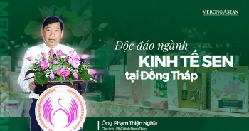 Độc đáo ngành kinh tế sen tại Đồng Tháp