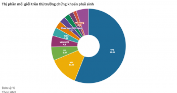 VPS chiếm 56% thị phần môi giới chứng khoán phái sinh