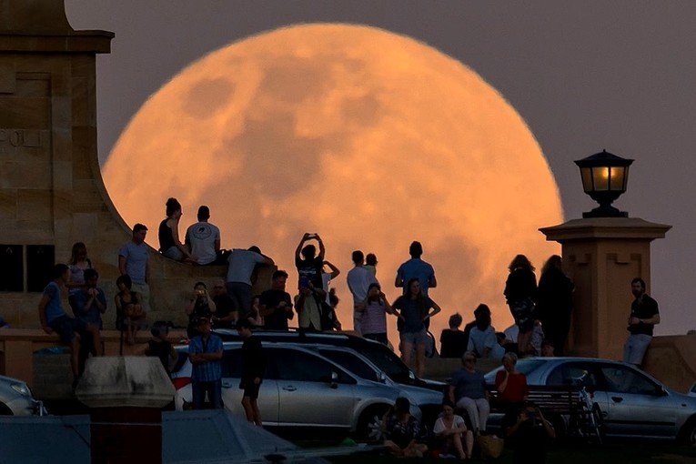 Si&ecirc;u trăng mọc ph&iacute;a sau Đ&agrave;i tưởng niệm Chiến tranh Fremantle tại Fremantle, Australia ng&agrave;y 14/11/2016. Ảnh: Getty Images