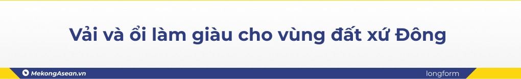 Đất vải Thanh Hà - Miền Tây thu nhỏ giữa vùng Đồng bằng sông Hồng