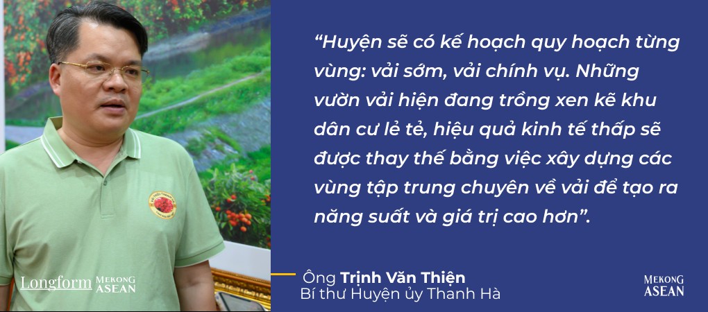 Đất vải Thanh Hà - Miền Tây thu nhỏ giữa vùng Đồng bằng sông Hồng