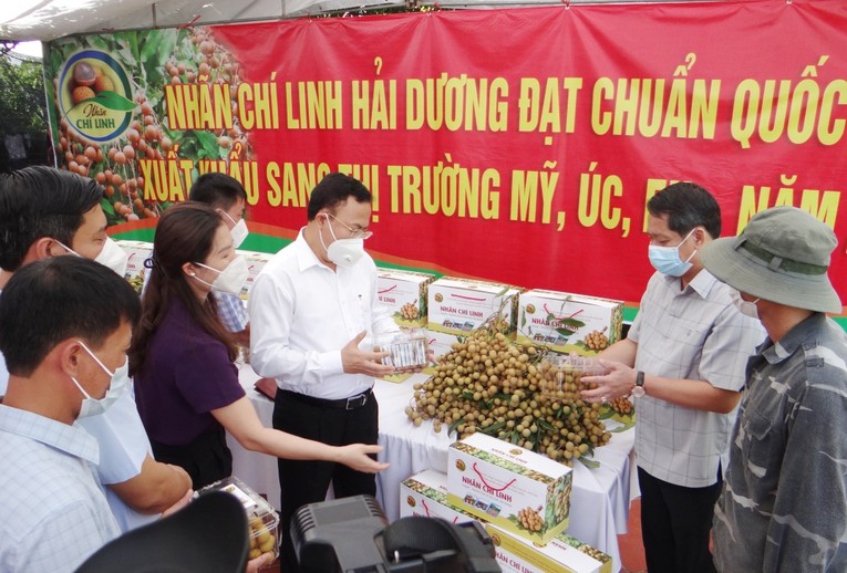 Nh&atilde;n Hải Dương đ&aacute;p ứng được ti&ecirc;u chuẩn khắt khe của nhiều thị trường kh&oacute; t&iacute;nh . Ảnh: Ph&ugrave;ng Nguyện