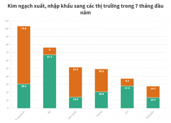 Việt Nam nhập siêu gần 8 tỷ USD từ ASEAN