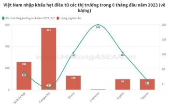 Việt Nam nhập khẩu hạt điều từ hai nước trong ASEAN