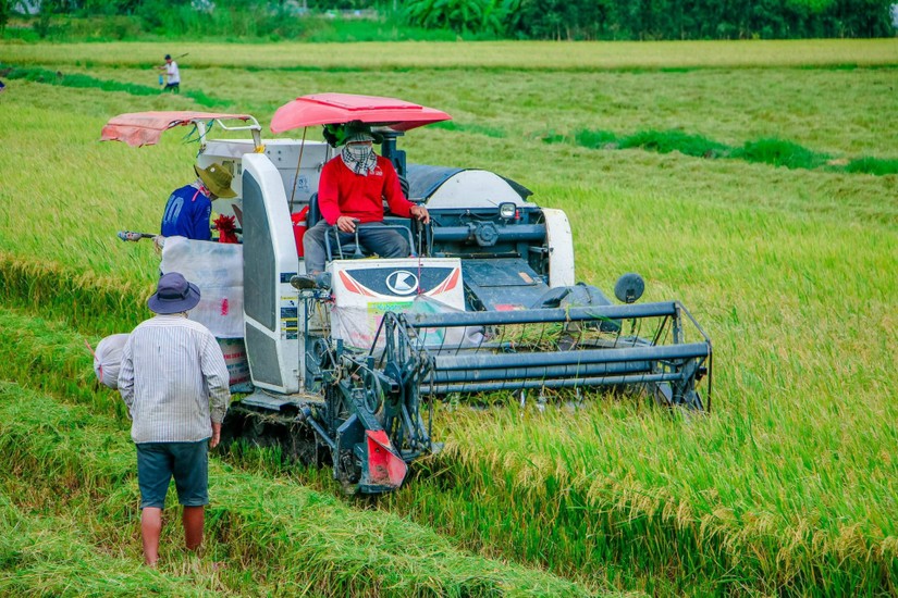 Th&aacute;o gỡ kh&oacute; khăn, th&uacute;c đẩy triển khai thực hiện 3 chương tr&igrave;nh mục ti&ecirc;u quốc gia